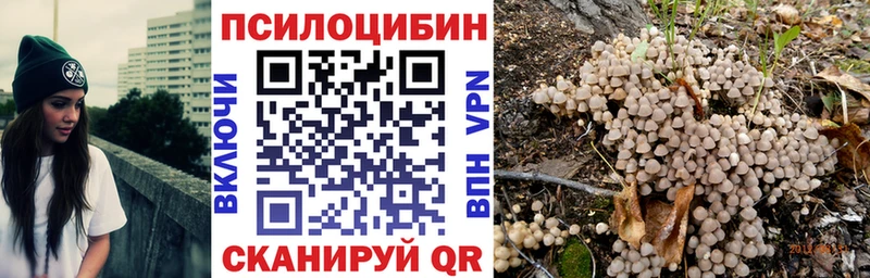 Галлюциногенные грибы Cubensis где продают Кинешма